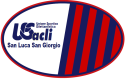 acii logo